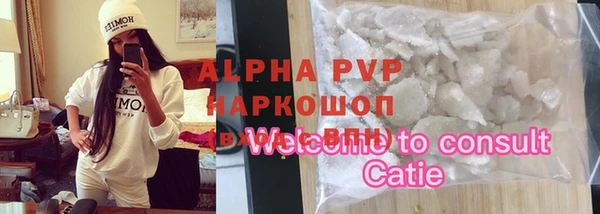 молекула духа Богданович