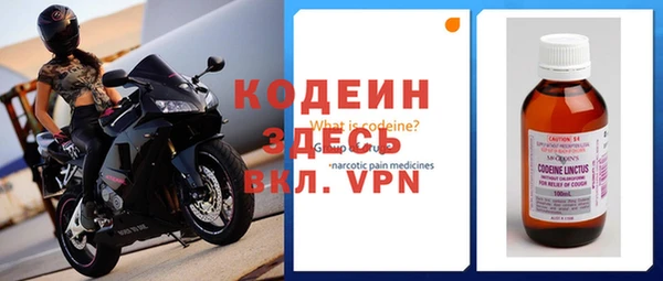молекула духа Богданович