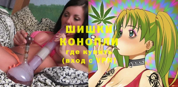 шишки Бронницы