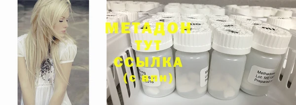 молекула духа Богданович