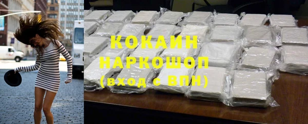 шишки Бронницы
