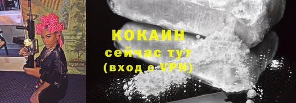 гидра Белоозёрский