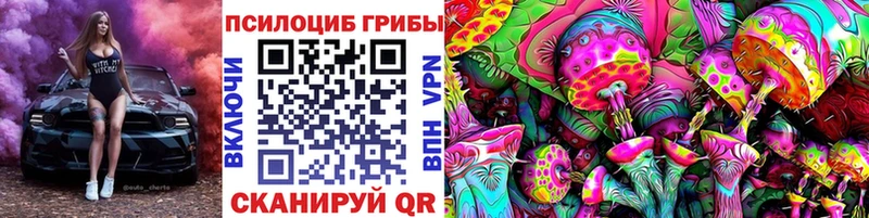 Галлюциногенные грибы Cubensis  продажа наркотиков  ОМГ ОМГ зеркало  Среднеуральск 